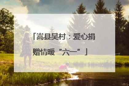 嵩县吴村：爱心捐赠情暖“六一”